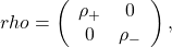 rho = \left( \begin{array}{ccc} \rho_+ & 0 \cr 0 & \rho_- \end{array} \right),