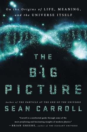 Sean Carroll: The Big Picture