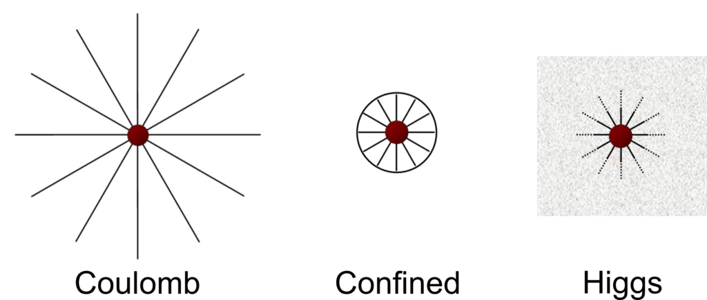 Phases of gauge fields.