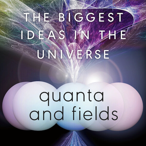 Quanta and Fields